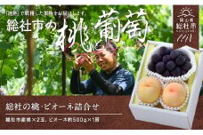 総社の白桃・ピオーネ詰合せ岡山県総社市産【2025年産先行予約】25-020-002