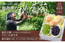 総社の白桃・シャインマスカット・ピオーネ詰合せ岡山県総社市産【2025年産先行予約】25-043-001