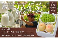 総社の白桃・シャインマスカット詰合せ岡山県総社市産【2025年産先行予約】25-028-001