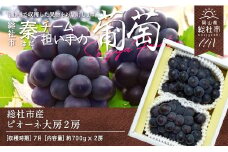 ぶどう「大房ピオーネ」（2房）総社市秦チーム担い手【2025年産先行予約】25-030-003