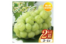 ぶどう「瀬戸ジャイアンツ」岡山県総社市産【2025年産先行予約】25-026-005