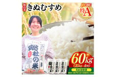 【令和7年産米】特Aきぬむすめ【精白米】60kg 定期便（15kg×4回）岡山県総社市〔令和7年11月・令和8年1月・3月・5月配送〕25-120-007