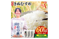 【令和7年産米】特Aきぬむすめ【精白米】60kg 定期便（15kg×4回）岡山県総社市〔令和8年1月・3月・5月・7月配送〕25-120-009