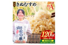 【令和7年産米】特Aきぬむすめ【玄米】120kg 定期便（15kg×8回）岡山県総社市〔令和7年11月から令和8年6月まで毎月配送〕25-240-001