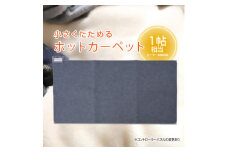 ホットカーペット1帖 【WAC-101】027-007