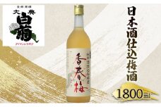 [№5615-0039]梅酒 大典白菊 日本酒仕込梅酒　香春梅 （1，800ml×1本）