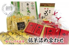 [№5615-0073]銘菓 詰合せ 柚の香あそび 銀 ゆべし 和菓子