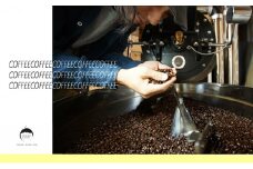 [№5615-7010]0136 4種スペシャルティコーヒー各50g【珈琲ドリップのレシピ付き】　極細挽き（エスプレッソ）