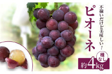 [№5615-0165]訳あり 辻葡萄園 の  ニュー ピオーネ ご家庭用 満杯詰め 約4kg 岡山県産 ぶどう 葡萄 果物 フルーツ  2025年 先行予約
