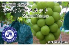 [№5615-0265]ぶどう 氷温(登録商標) シャインマスカット 2房（1房800g以上） マスカット ブドウ 葡萄  岡山県産 国産 フルーツ 果物 ギフト 黒川農園