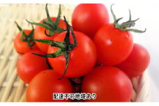 [№5615-0291] 2025年 先行予約 ミニトマト バラ 約2kg 岡山 高梁市産 とまと 有機 野菜 