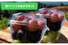 [№5615-0318]ぶどう 訳あり ご家庭用 ニュー ピオーネ オーロラブラック 巨峰 ゴールドフィンガー マスカサーティーン クイーンニーナ 粒々パックおまかせセット 葡萄 フルーツ 岡山 高梁市産 こあに葡萄園 2025年 先行予約