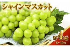 [№5615-0370]シャインマスカット 約4kg ぶどう 葡萄 フルーツ 岡山 高梁市産 2025年 先行予約