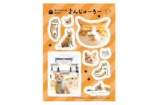 [№5615-0378]『さんじゅーろー』オリジナルシール　10枚セット