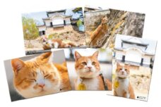 [№5615-0379]備中松山城 猫 城主『さんじゅーろー』ポストカード 10枚セット