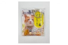 [№5615-0380]『さんじゅーろー』キーホルダー小判　3個セット