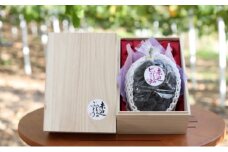 [№5615-0381]桐箱入 ニュー ピオーネ 1房 750g以上 葡萄 ぶどう フルーツ 岡山 高梁市産 赤迫農園 2025年 先行予約