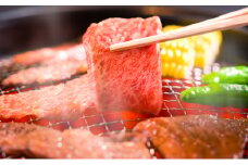[№5615-0388]黒毛 和牛 備中牛 肩 ロース 焼肉用 800g