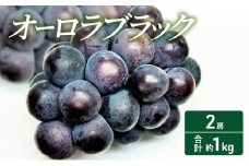 [№5615-0401]2025年 先行予約 オーロラブラック 2房 合計約1kg 常温配送 ぶどう 葡萄 フルーツ 果物 岡山 