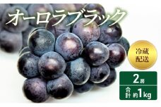 [№5615-0402]2025年 先行予約 オーロラブラック2房 合計約1kg 冷蔵配送 ぶどう 葡萄 フルーツ 果物 岡山 