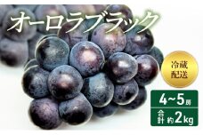[№5615-0404]2025年 先行予約 オーロラブラック 4～5房 合計約2kg 冷蔵配送 ぶどう 葡萄 フルーツ 果物 岡山 