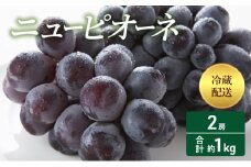 [№5615-0406]2025年 先行予約  ニューピオーネ 2房 合計約1kg 冷蔵配送 ぶどう 葡萄 フルーツ 果物 岡山 