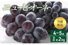 [№5615-0408]2025年 先行予約 ニューピオーネ 4～5房 合計約2kg 冷蔵配送 ぶどう 葡萄 フルーツ 果物 岡山 