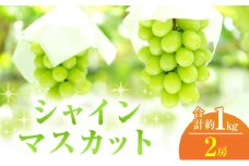 [№5615-0409]2025年 先行予約 シャインマスカット 2房 合計約1kg 常温配送 ぶどう 葡萄 フルーツ 果物 岡山 