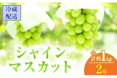 [№5615-0410]2025年 先行予約 シャインマスカット 2房 合計約1kg 冷蔵配送 ぶどう 葡萄 フルーツ 果物 岡山 