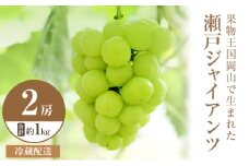 [№5615-0414]2025年 先行予約 瀬戸ジャイアンツ 2房 合計約1kg 冷蔵配送 ぶどう 葡萄 フルーツ 果物 岡山 