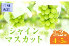 [№5615-0412]2025年 先行予約 シャインマスカット 4～5房 合計約2kg 冷蔵配送 ぶどう 葡萄 フルーツ 果物 岡山 