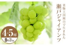 [№5615-0415]2025年 先行予約 瀬戸ジャイアンツ 4～5房 合計約2kg 常温配送 ぶどう 葡萄 フルーツ 果物 岡山 