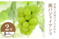 [№5615-0413]2025年 先行予約 瀬戸ジャイアンツ 2房 合計約1kg 常温配送 ぶどう 葡萄 フルーツ 果物 岡山 