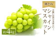[№5615-0429]早期受付 シャインマスカット 満杯詰め 約4kg以上 ご家庭用 辻葡萄園 ぶどう 葡萄 フルーツ 果物 岡山県産 岡山のぶどう 食後 デザート おやつ