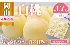 [№5615-0472]桃 2025年 先行予約 岡山 白桃 8玉（合計1.7kg以上）化粧箱入り もも モモ 岡山県産 国産 フルーツ 果物 ギフト