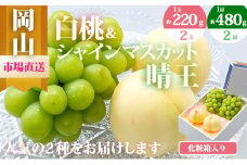 [№5615-0474]桃 ぶどう 2025年 先行予約 果物 詰合せ 白桃 2玉（1玉220g以上）シャインマスカット 晴王 2房（1房480g以上）化粧箱入り もも 葡萄 岡山県産 国産 フルーツ 果物 ギフト