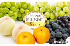 [№5615-0475]フルーツ 定期便 2025年 先行予約 フルーツ王国 岡山を堪能 5回コース 桃 もも 葡萄 ぶどう 梨 なし岡山県産 国産 果物 セット ギフト