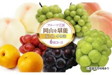 [№5615-0484]桃 ぶどう 梨 定期便 2025年 先行予約 フルーツ王国 岡山を堪能 6回コース 夏・秋・冬物語 白桃 フルーツ 果物 岡山 