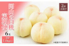 [№5615-0487]桃 定期便 2025年 先行予約 岡山 の 白桃 6玉 合計1.6kg以上×2回 お届け 化粧箱入り もも モモ 岡山産 国産 フルーツ 果物 ギフト