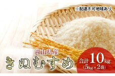 [№5615-0536]米 特A ランク きぬむすめ 10kg （5kg×2袋） 令和6年産 こめ コメ 白米 岡山県産