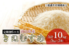 [№5615-0543]米 【 定期 便 6ヶ月 】 特Aランク きぬむすめ 10kg （5kg×2袋） 令和6年産 こめ コメ 白米 岡山県産