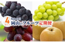 [№5615-0528]ぶどう 梨 定期便 2025年 先行予約 晴れの国 岡山 の フルーツ 定期便 4回コース 葡萄 なし 岡山県産 国産 セット ギフト