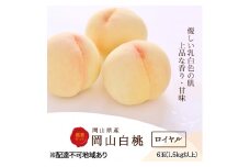 [№5615-0529]桃 2025年 先行予約 白桃 6玉 (1.5kg以上) 等級：ロイヤル 化粧箱入り もも モモ 岡山県産 国産 フルーツ 果物 セット ギフト