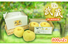 [№5615-0548]早期受付 香梨 武蔵 約800g×2玉 岡山 和梨 梨 なし ナシ 新興 幸水 果物 フルーツ