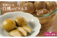 [№5615-0555]若採りした白桃のピクルス100ｇ 2個 岡山