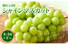 [№5615-0572]早期受付 ぶどう 晴れの国 シャインマスカット 2kg (4～5房) 化粧箱入り 岡山県 高梁市 ブドウ 葡萄 果物 フルーツ 