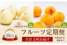 [№5615-0619]桃 定期便 2025年 先行予約 晴れの国 岡山 の フルーツ 定期便 2回コース 桃食べ比べ 岡山県産 国産 セット ギフト