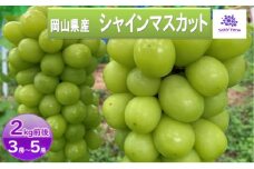 [№5615-0624]シャインマスカット 2kg 3房～5房 葡萄 フルーツ 岡山 高梁市産 ぜきお農園 ぶどうclub 2025年 先行予約