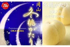 [№5615-0630]桃 【2025年 早期受付】 冬桃がたり ３個入り 合計約600ｇ もも 岡山県産 国産 フルーツ 果物 ギフト