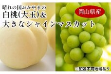[№5615-0634]桃 ぶどう 【2025年 先行予約】 晴れの国 おかやま の 白桃 大玉 1.5kg以上(4～6玉) 大きな シャインマスカット 1房900g以上 マスカット ブドウ 葡萄  岡山県産 国産 フルーツ 果物 ギフト